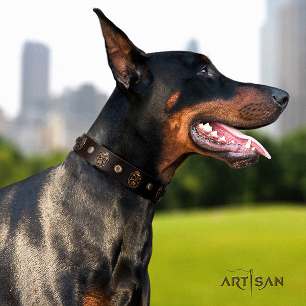 Doberman comfortable wearing full grain genuine leather collar with decorations for your pet