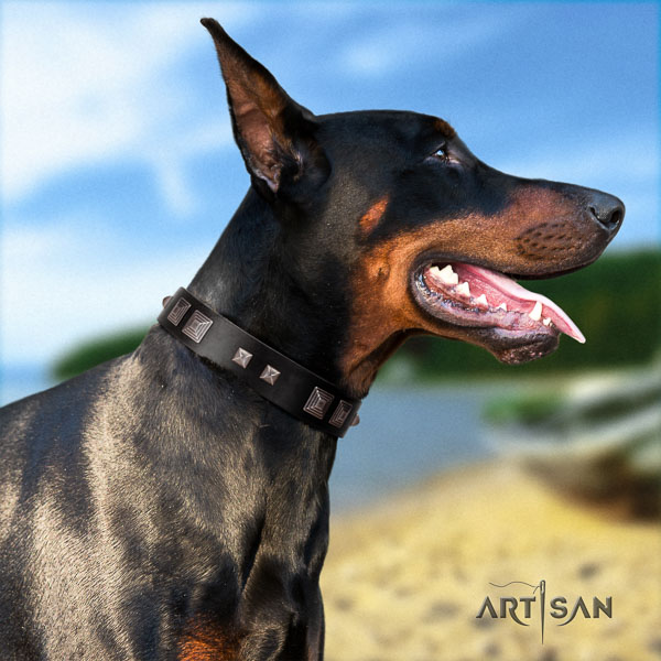 Doberman full grain natural leather dog collar with adornments for your beautiful doggie