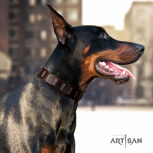 Doberman natural genuine leather dog collar with adornments for your impressive canine