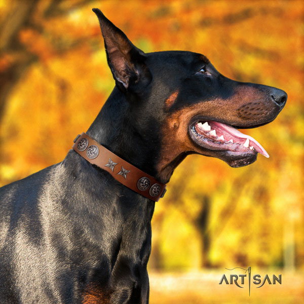 Doberman full grain genuine leather dog collar with decorations for your stylish dog