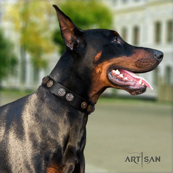 Doberman full grain natural leather dog collar with embellishments for your impressive dog