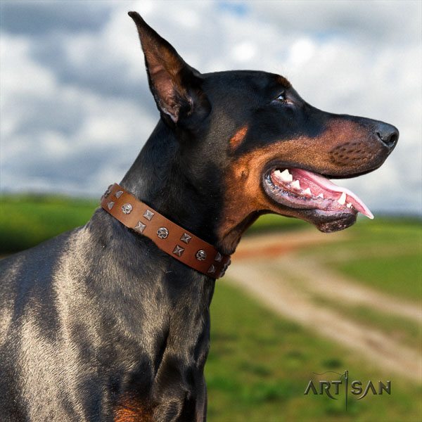 Doberman natural genuine leather dog collar with studs for your stylish pet