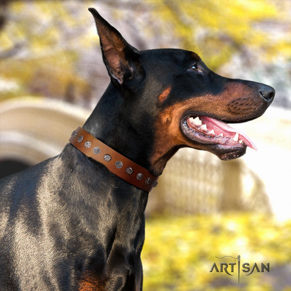Doberman natural genuine leather dog collar with adornments for your lovely canine