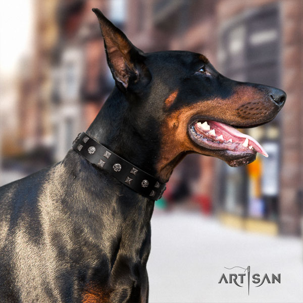 Doberman leather dog collar with adornments for your handsome pet