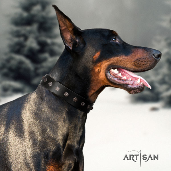 Doberman full grain leather dog collar with studs for your beautiful four-legged friend