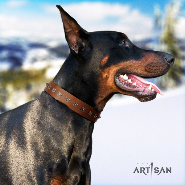 Doberman full grain genuine leather dog collar with adornments for your beautiful four-legged friend