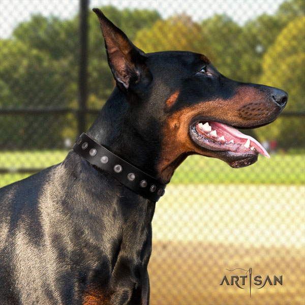 Doberman leather dog collar with decorations for your impressive canine