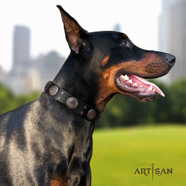 Doberman genuine leather dog collar with decorations for your handsome doggie