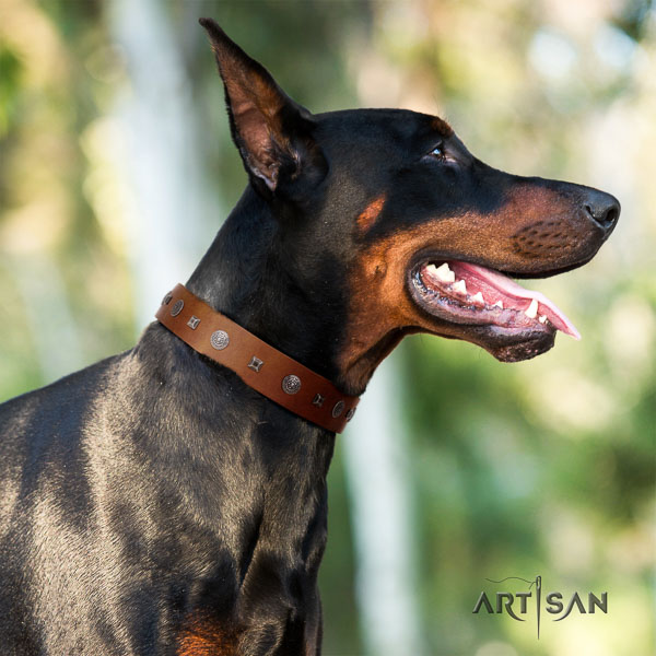 Doberman full grain natural leather dog collar with embellishments for your stylish pet