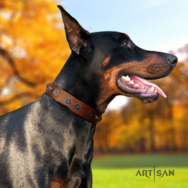 Doberman genuine leather dog collar with studs for your stylish pet