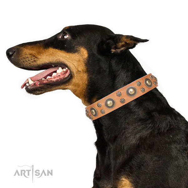 Doberman trendy full grain natural leather dog collar for daily walking