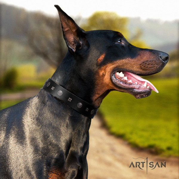 Doberman full grain natural leather dog collar with adornments for your attractive dog