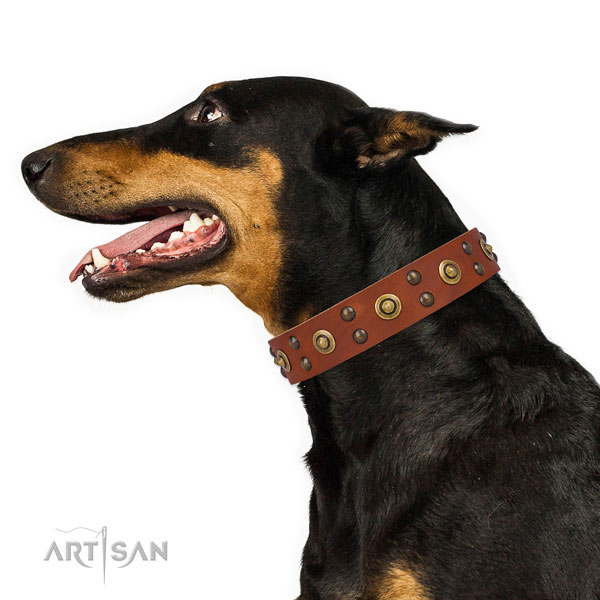 Doberman top notch genuine leather dog collar for walking