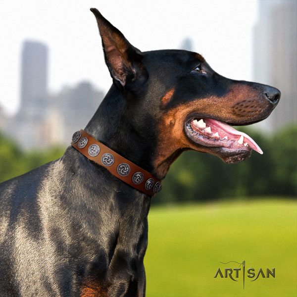 Doberman full grain leather dog collar with studs for your impressive pet
