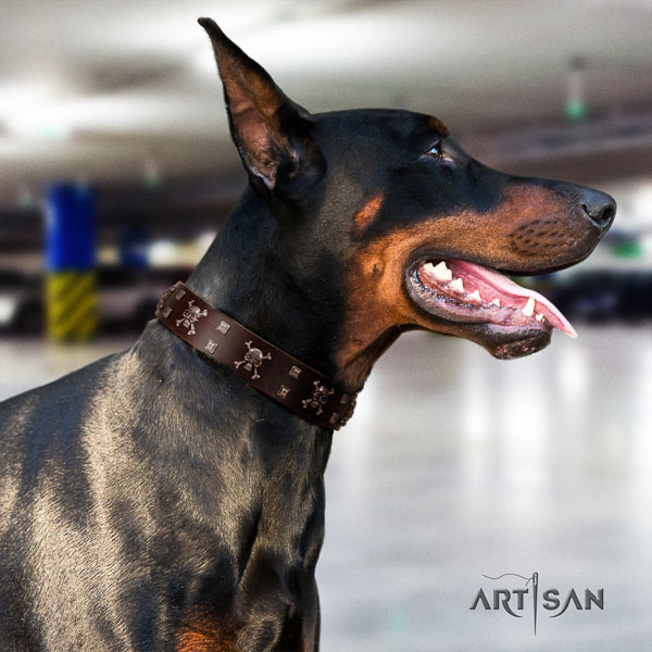 Doberman full grain natural leather dog collar with embellishments for your beautiful dog