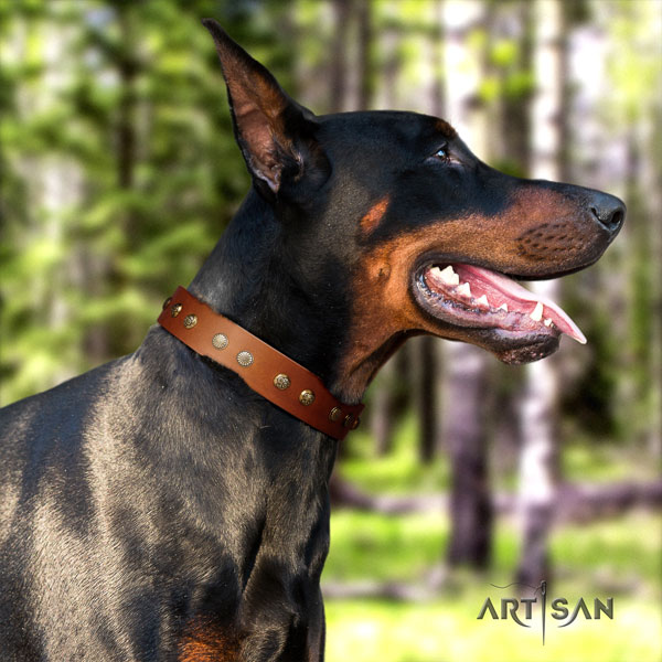 Doberman full grain genuine leather dog collar with embellishments for your impressive four-legged friend