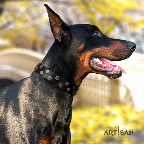 Doberman leather dog collar with adornments for your stylish dog