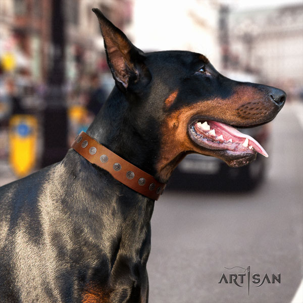 Doberman full grain leather dog collar with studs for your stylish canine
