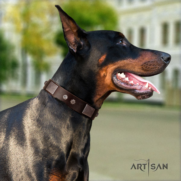 Doberman full grain natural leather dog collar with adornments for your handsome four-legged friend