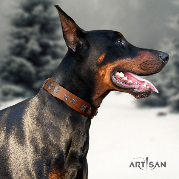 Doberman full grain genuine leather dog collar with studs for your handsome canine