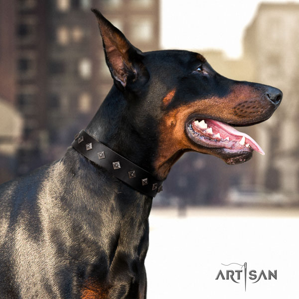 Doberman full grain leather dog collar with decorations for your stylish canine