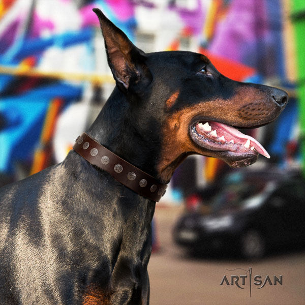 Doberman full grain natural leather dog collar with decorations for your beautiful dog