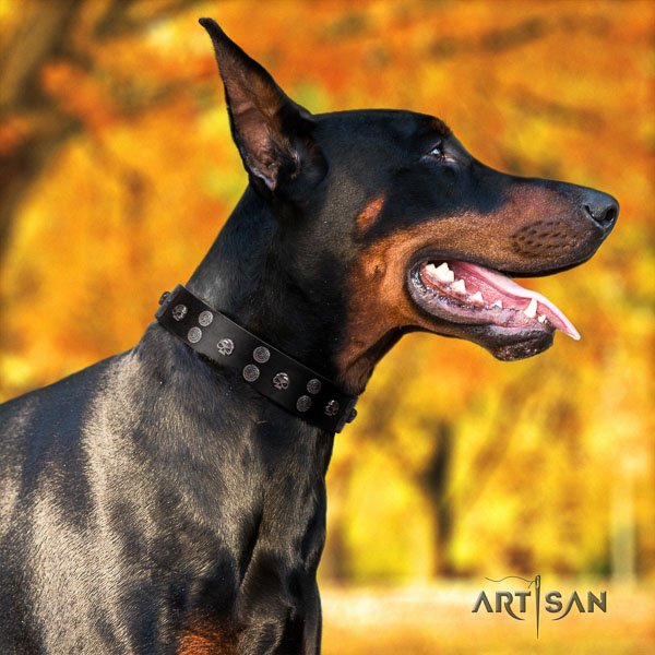 Doberman genuine leather dog collar with studs for your beautiful doggie