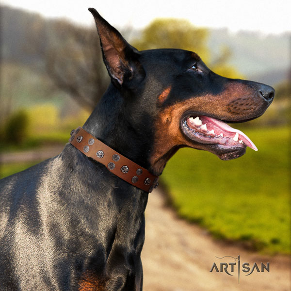 Doberman full grain genuine leather dog collar with adornments for your attractive pet