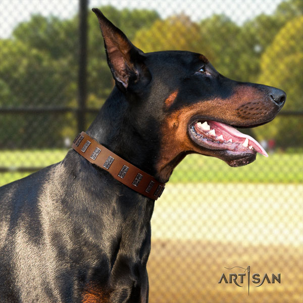 Doberman natural genuine leather dog collar with embellishments for your handsome doggie