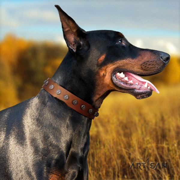 Doberman genuine leather dog collar with studs for your attractive four-legged friend