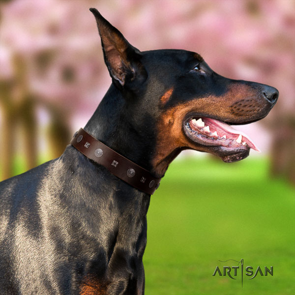 Doberman genuine leather dog collar with embellishments for your stylish four-legged friend