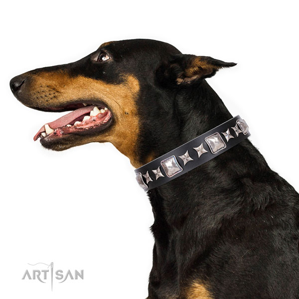 Doberman impressive full grain leather dog collar for basic training
