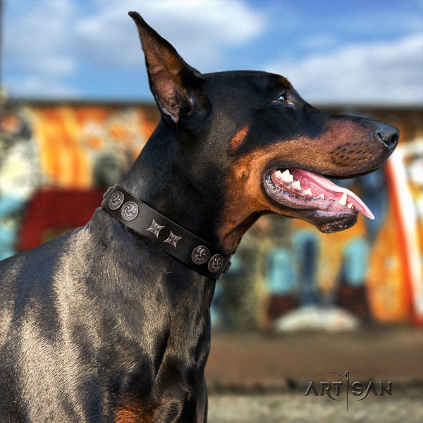 Doberman full grain leather dog collar with embellishments for your beautiful pet