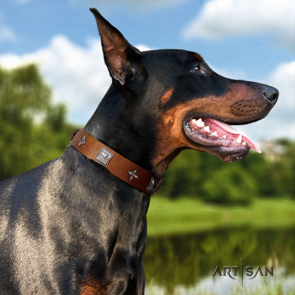 Doberman leather dog collar with studs for your stylish pet