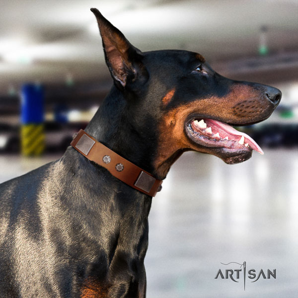 Doberman natural genuine leather dog collar with adornments for your attractive doggie