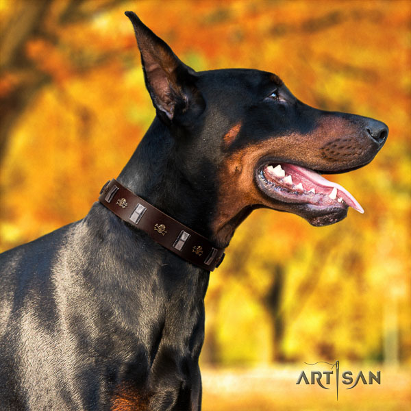 Doberman full grain genuine leather dog collar with decorations for your handsome dog