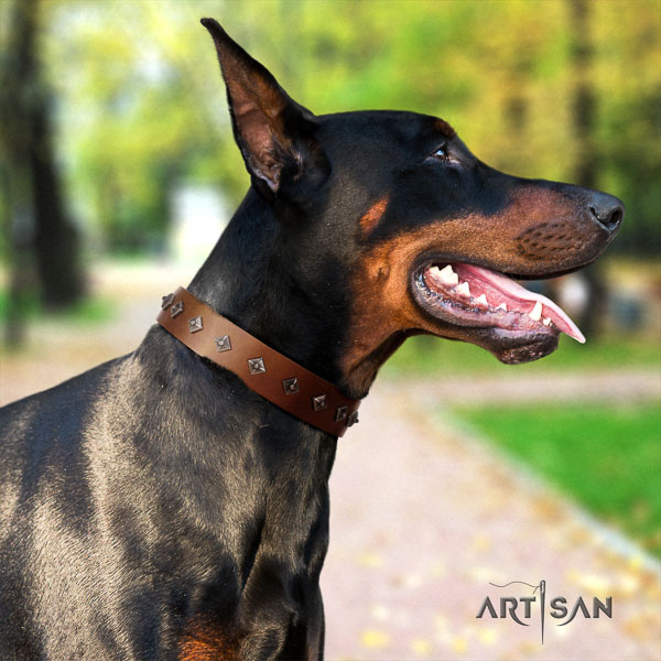 Doberman full grain natural leather dog collar with decorations for your beautiful pet