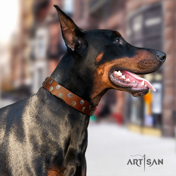 Doberman full grain natural leather dog collar with embellishments for your impressive doggie
