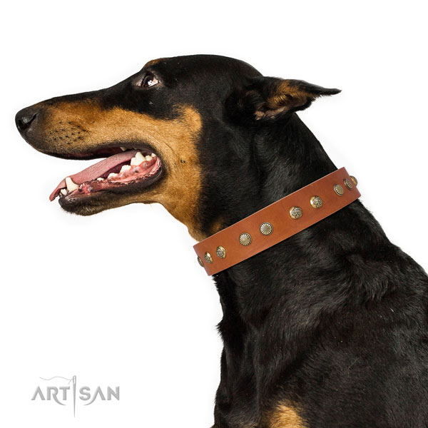 Doberman handmade natural genuine leather dog collar for daily use