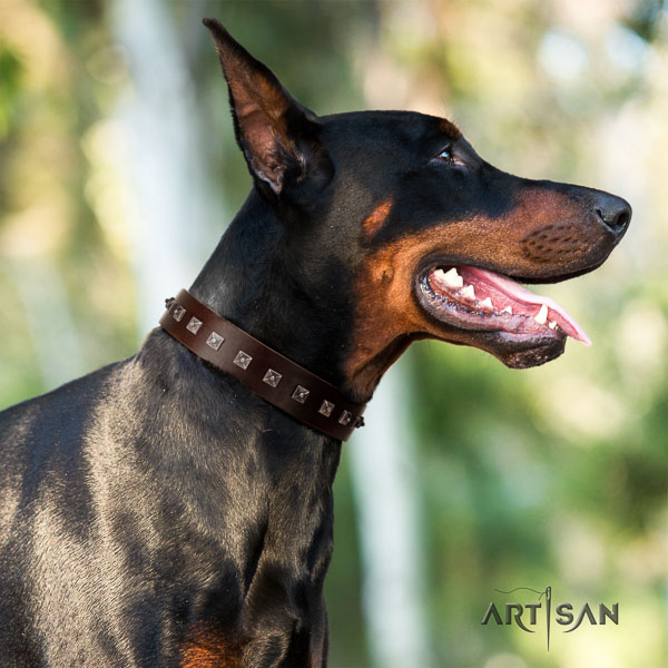Doberman full grain leather dog collar with adornments for your handsome dog