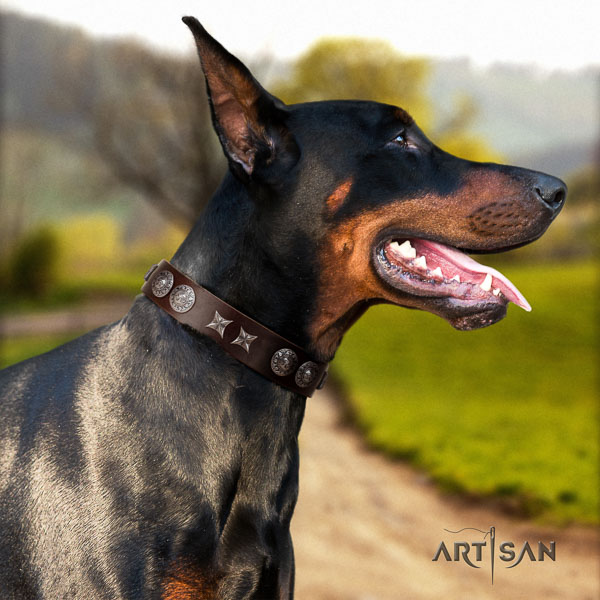 Doberman full grain natural leather dog collar with decorations for your handsome dog
