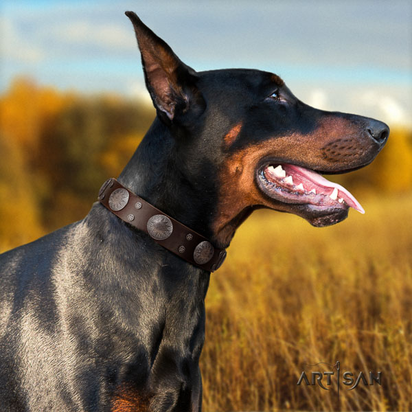 Doberman natural genuine leather dog collar with studs for your attractive dog