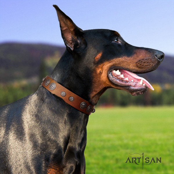 Doberman full grain natural leather dog collar with adornments for your lovely canine