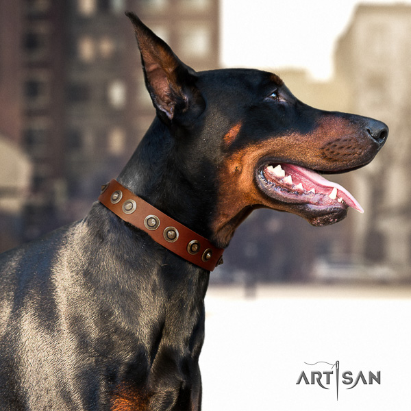 Doberman walking leather collar with adornments for your four-legged friend
