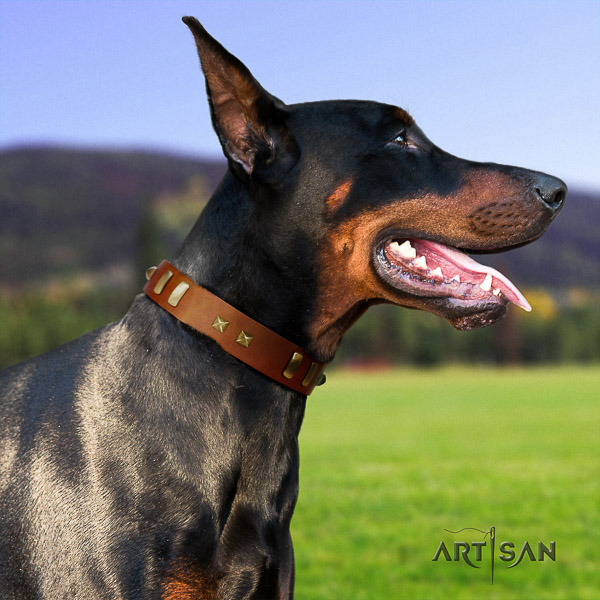 Doberman comfortable wearing natural leather collar with embellishments for your four-legged friend