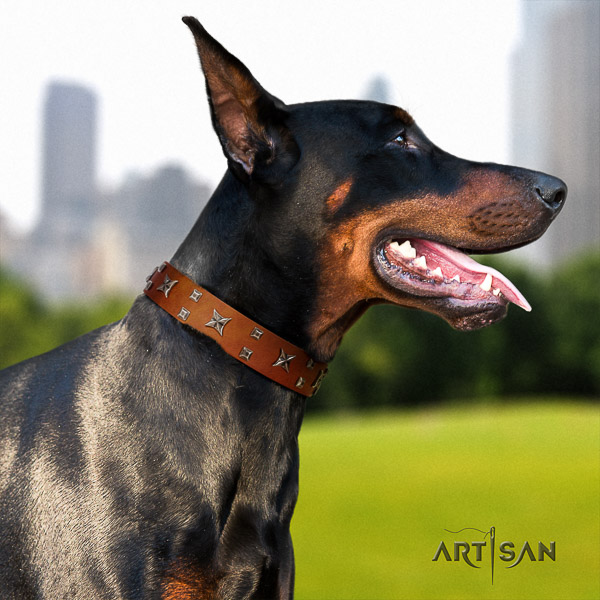 Doberman walking natural leather collar with significant embellishments for your canine
