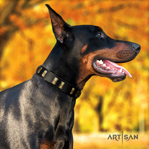 Doberman everyday walking natural leather collar with studs for your doggie