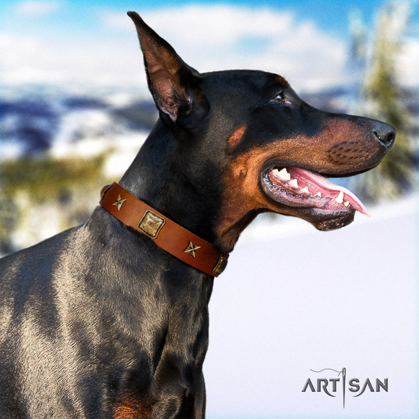 Doberman easy wearing full grain genuine leather collar with adornments for your four-legged friend