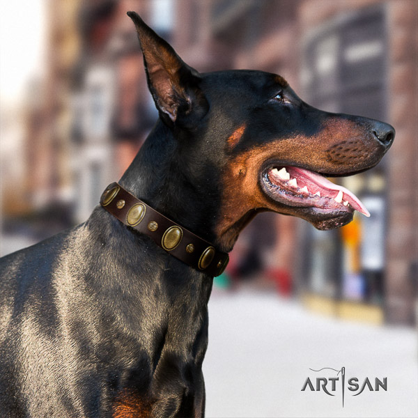 Doberman handy use leather collar with embellishments for your four-legged friend