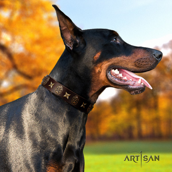 Doberman everyday use full grain genuine leather collar with adornments for your dog